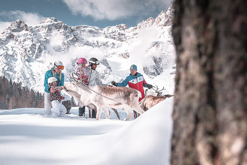 Dare da mangiare alle renne